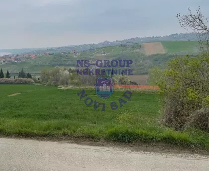 Liparje | 4zida.rs