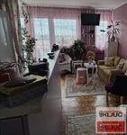 Socijalno, Rotkvarija, Gradske lokacije, Novi Sad | 4zida.rs | 4zida.rs