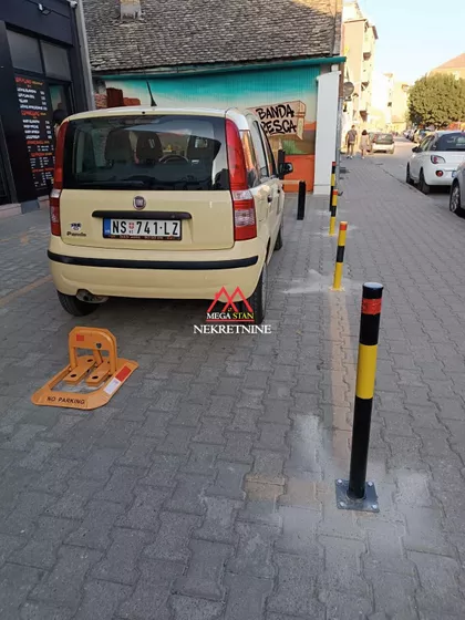 Pavla Papa | 4zida.rs