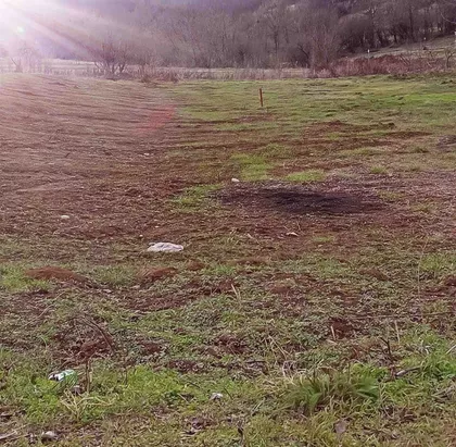 Hrastov Zapis | 4zida.rs