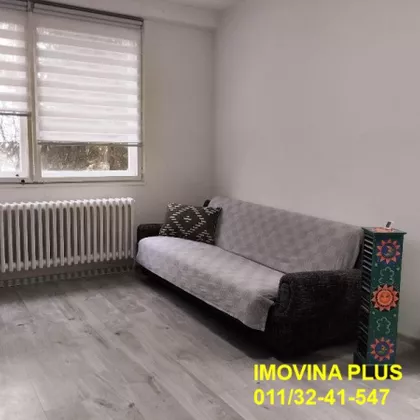 Darinke Radović | 4zida.rs