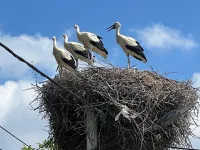 Ivanovo, Okolne lokacije, Pančevo | 4zida.rs | 4zida.rs