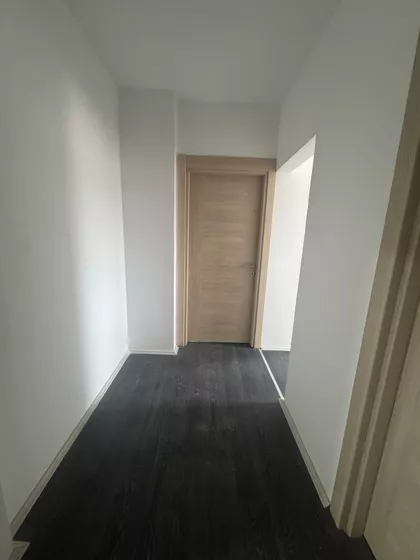 Šojka | 4zida.rs
