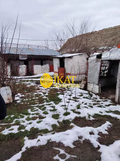 Arsenija Čarnojevića | 4zida.rs