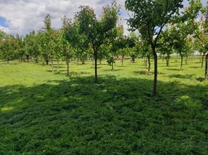 Totovo Selo | 4zida.rs