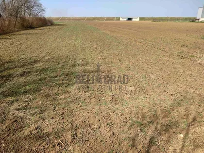 Boljevačka | 4zida.rs