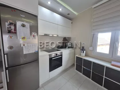 Sibinjanin Janka | 4zida.rs