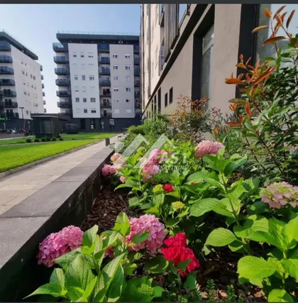 Đorđa Nikšića Johana | 4zida.rs