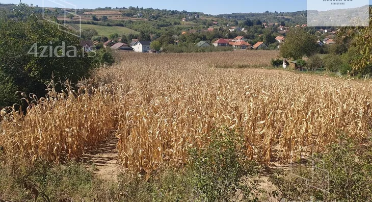 Plac | 4zida
