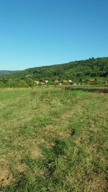 Save Nikolića | 4zida.rs