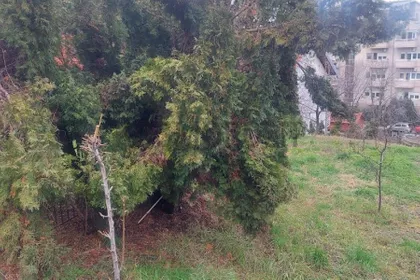 Todora Manojlovića | 4zida.rs