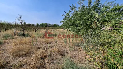 Srpski Šor | 4zida.rs