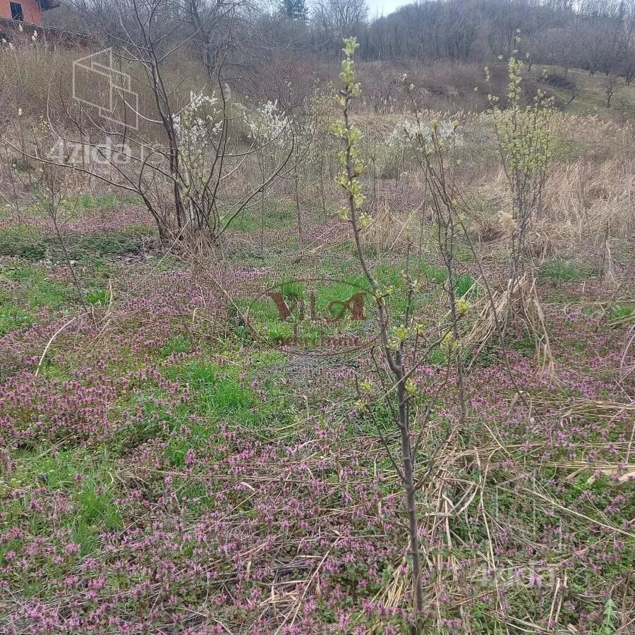 Plac | 4zida
