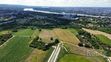 Mišeluk
