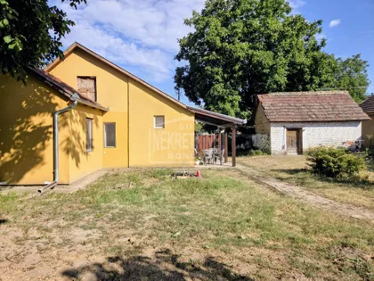 Pačir | 4zida.rs