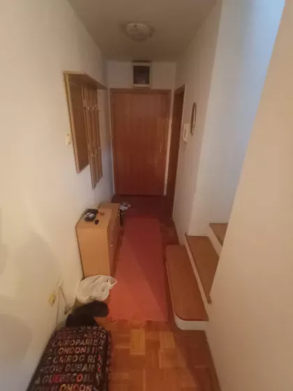 Dr Svetislava Kasapinovića | 4zida.rs