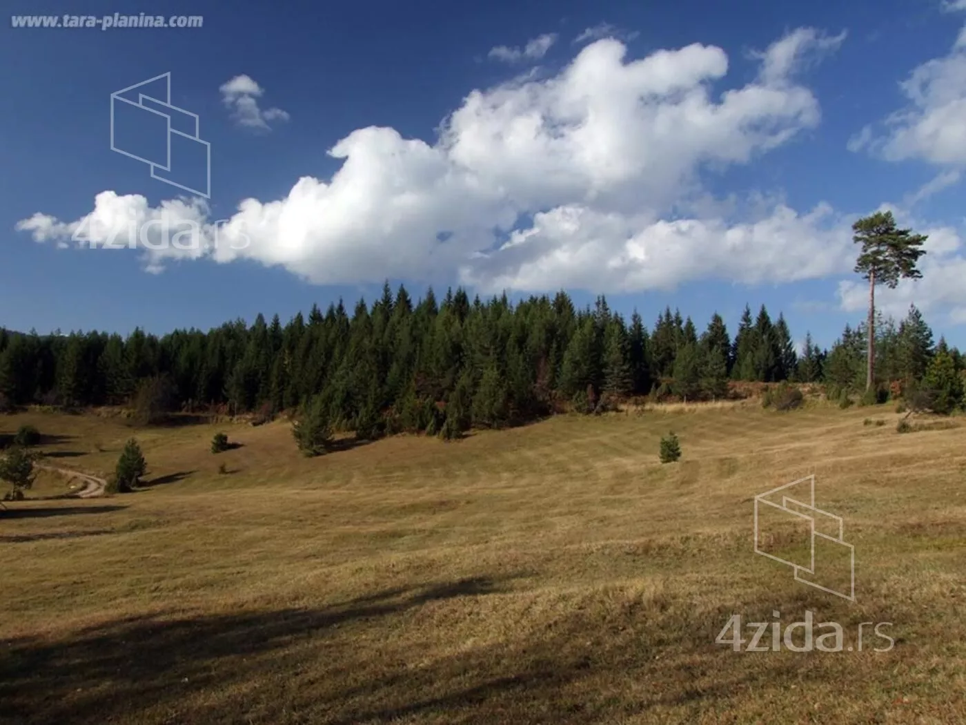 Plac | 4zida
