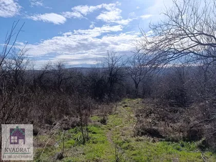 Mala Moštanica | 4zida.rs