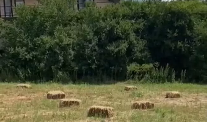 Poljoprivredno zemljište | 4zida