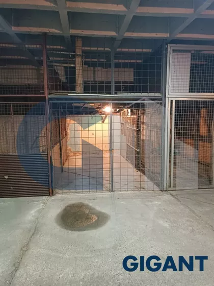 Gandijeva | 4zida.rs