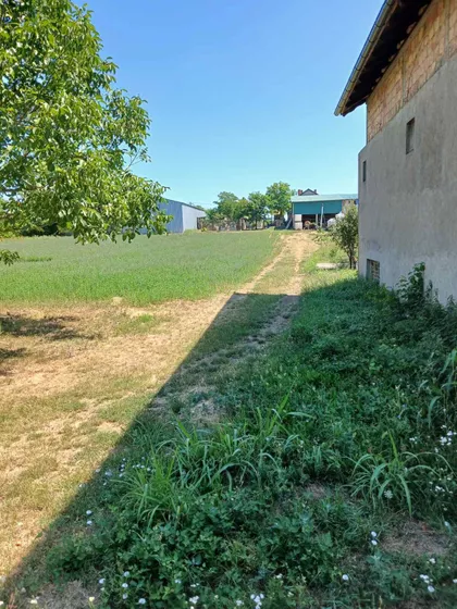 Moše Pijade | 4zida.rs