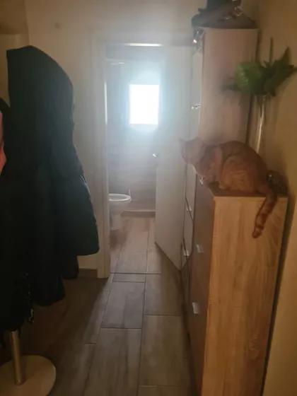 Sutjeska 2A | 4zida.rs