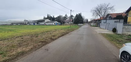 Mike Antića | 4zida.rs