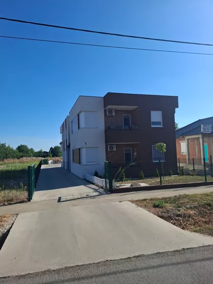 Miše Uboje 11 | 4zida.rs