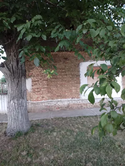 Banatski Despotovac | 4zida.rs