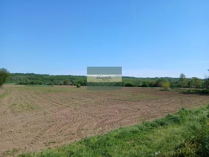 Dragocvet | 4zida.rs