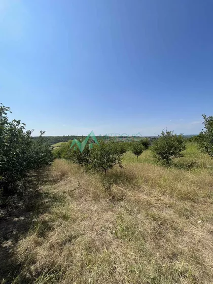 Zanoš | 4zida.rs