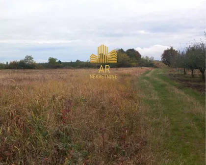 Gorovič  | 4zida.rs