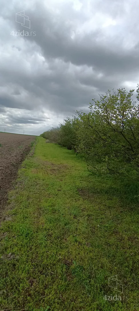 Poljoprivredno zemljište | 4zida