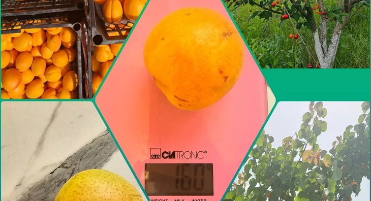 Poljoprivredno zemljište | 4zida