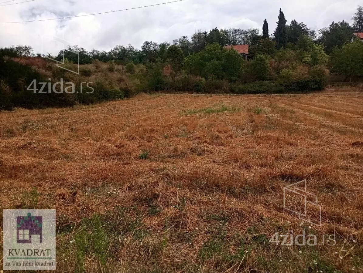 Plac | 4zida