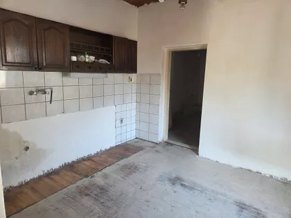 Vase Pelagića | 4zida.rs