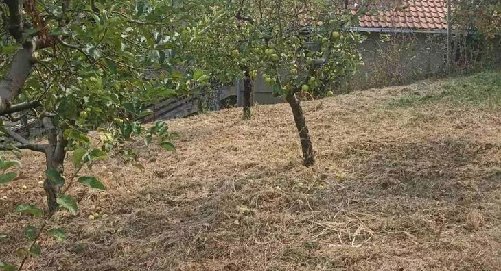 Plac | 4zida