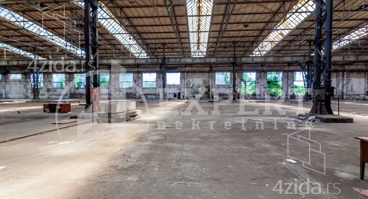 Lokal | 4zida