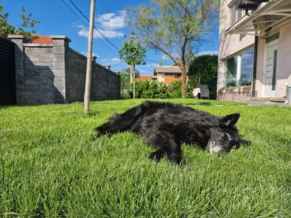 Popova Bara Nova 2 8M | 4zida.rs