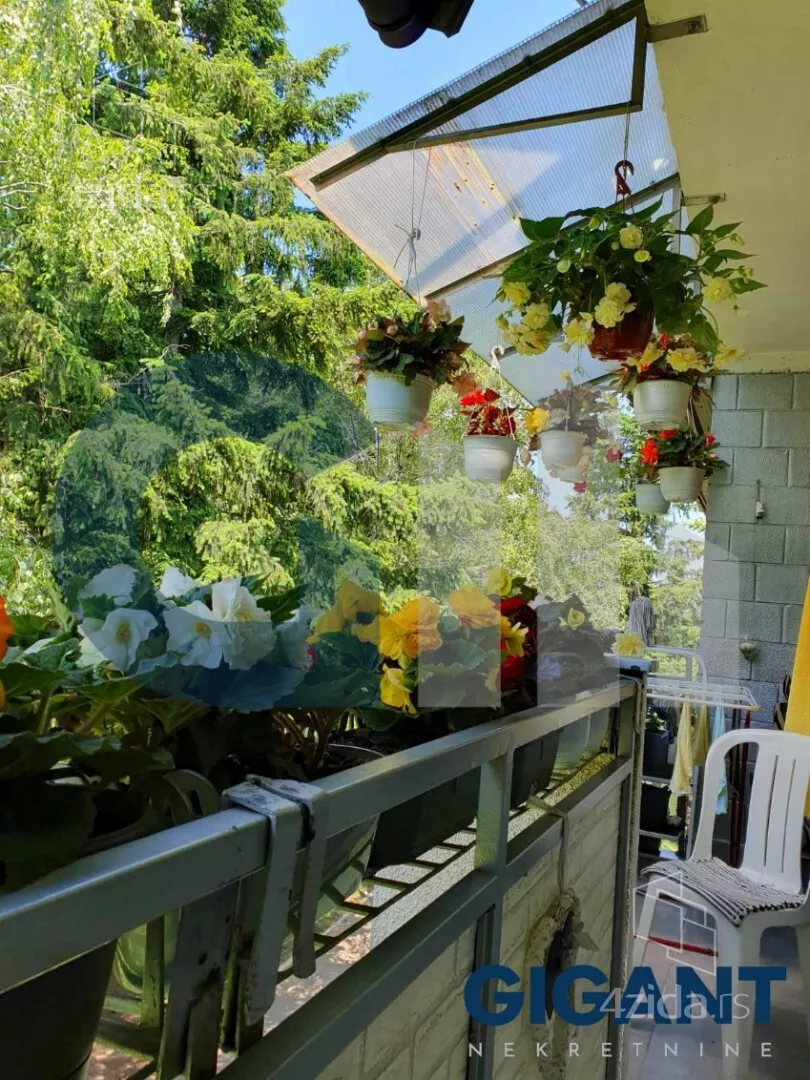 Petosoban stan | 4zida