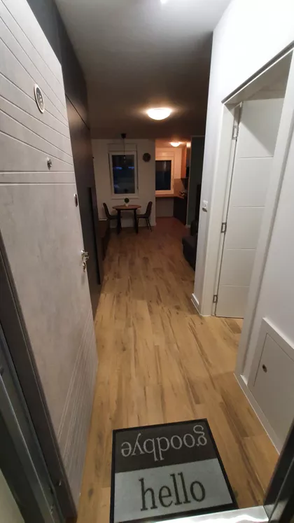 Lajoša Joa 52 | 4zida.rs