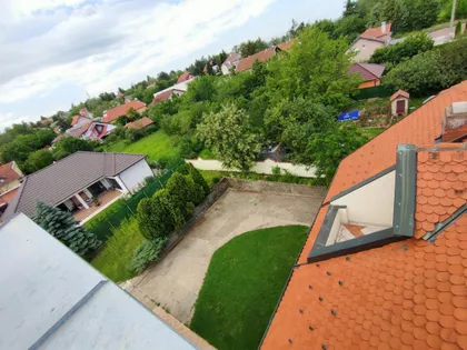 Sremska Kamenica | 4zida.rs