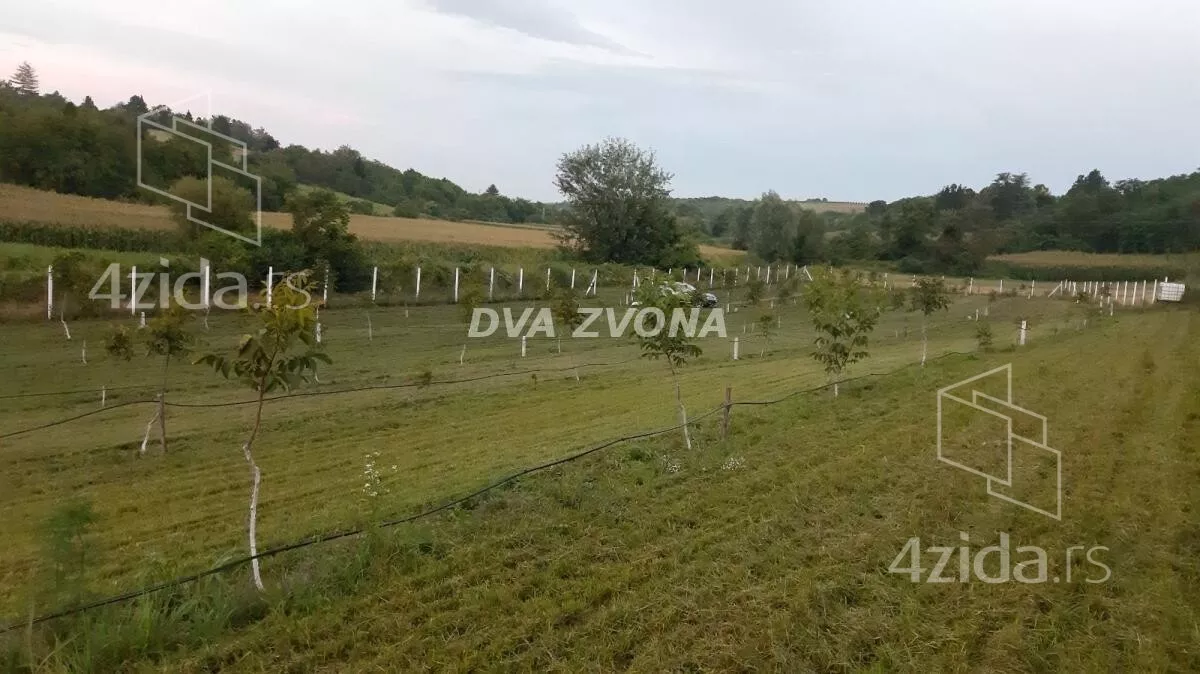 Plac | 4zida