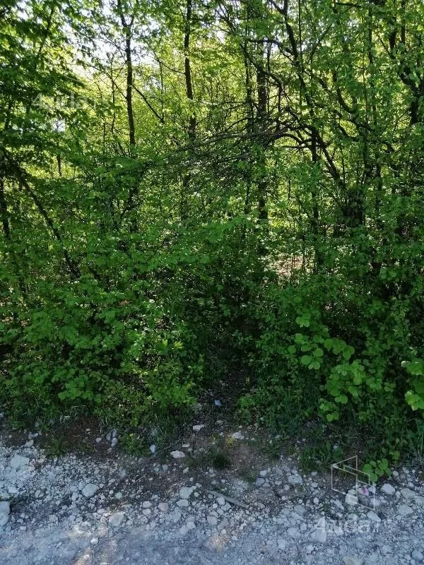 Plac | 4zida