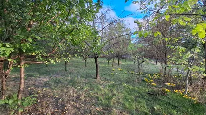 Čedomira Krstića | 4zida.rs