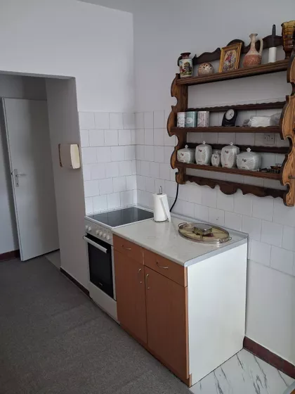 Lepenički Bulevar | 4zida.rs