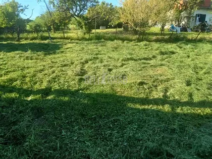 Bogoljuba Mihailovića | 4zida.rs