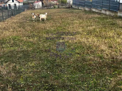 Puckaroš | 4zida.rs