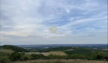 Čerević | 4zida.rs