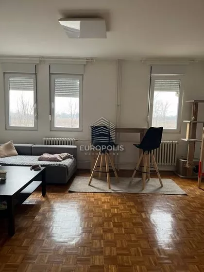 Dr Ivana Ribara | 4zida.rs